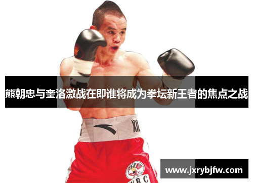 熊朝忠与奎洛激战在即谁将成为拳坛新王者的焦点之战